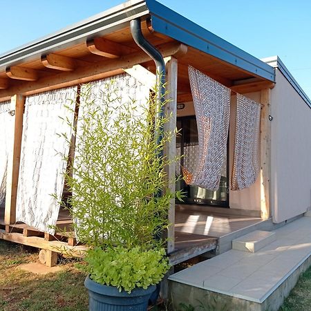 Nature Home Eco-Friendly Pet-Friendly 法扎纳 外观 照片