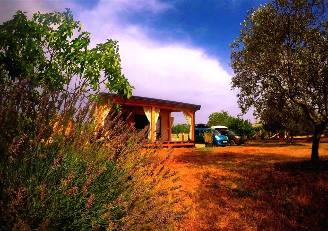 Nature Home Eco-Friendly Pet-Friendly 法扎纳 外观 照片