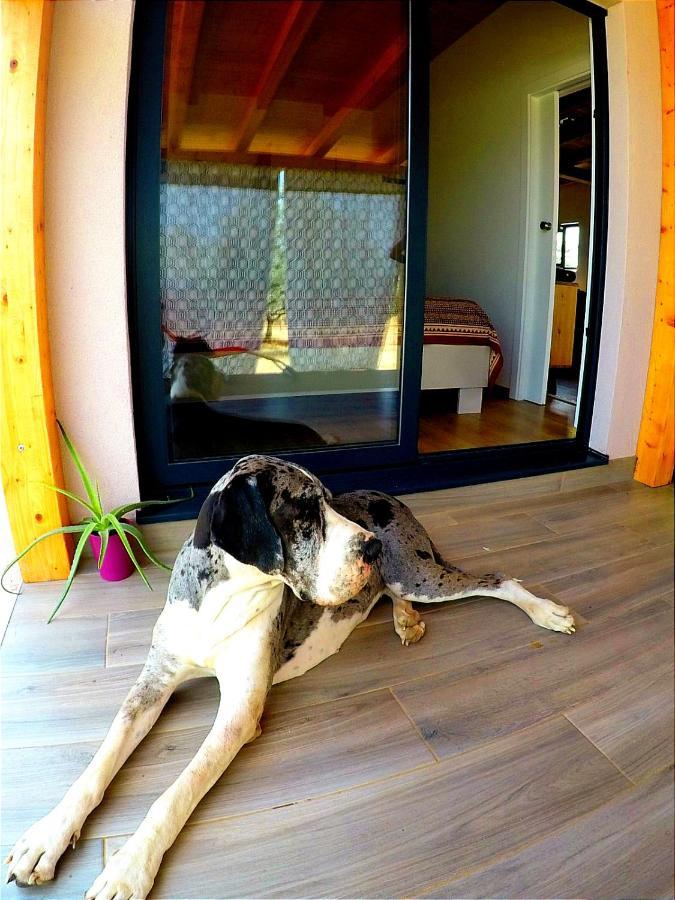 Nature Home Eco-Friendly Pet-Friendly 法扎纳 外观 照片